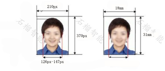 保险从业资格证照片 尺寸样品