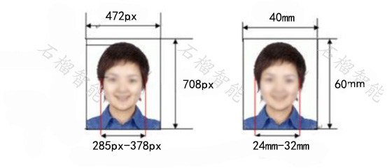 蒙古签证照片 尺寸样品